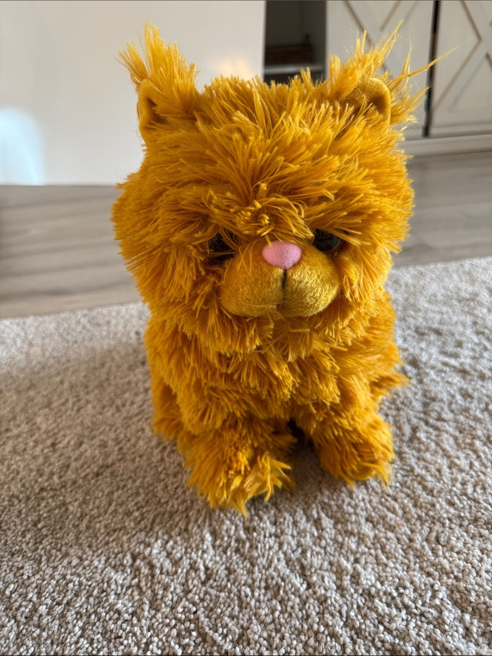 Harry Potter Wizarding World SOFT CROOKSHANKS CAT 11" Plush Stuffed Animal